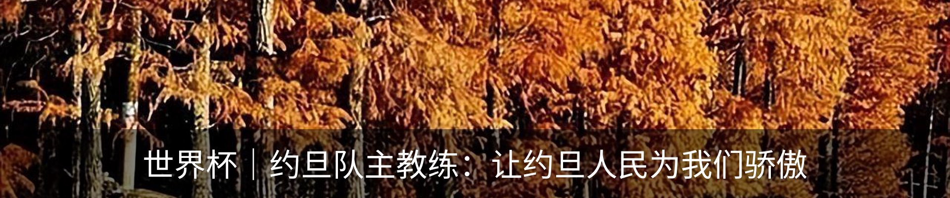 资讯动态